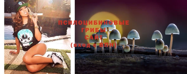 твердый Вязьма