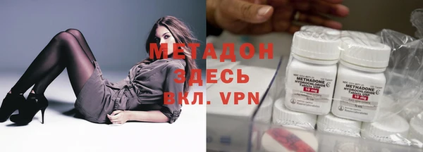 прущие грибы Вяземский
