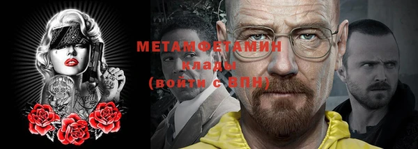 прущие грибы Вяземский
