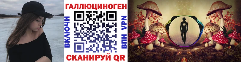 Галлюциногенные грибы Magic Shrooms  Купить где  Черепаново 