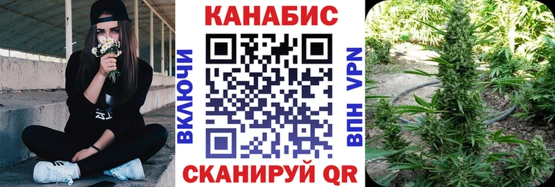 Купить где  Черепаново  Бошки Шишки план 
